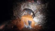 PICTURES/Roman Baths - Bath, England/t_Water Source4.jpg